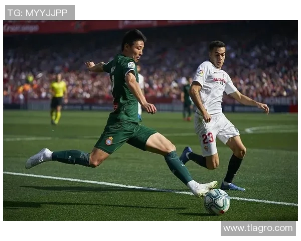 特拉布宗体对决分析与战术解析揭示球队潜力与未来发展方向 特拉布宗体对决分析与战术解析揭示球队潜力与未来发展方向