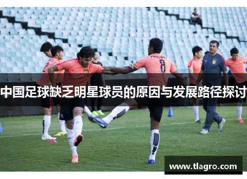 中国足球缺乏明星球员的原因与发展路径探讨