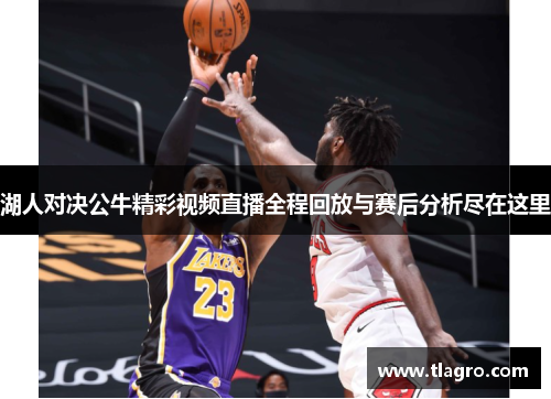 湖人对决公牛精彩视频直播全程回放与赛后分析尽在这里